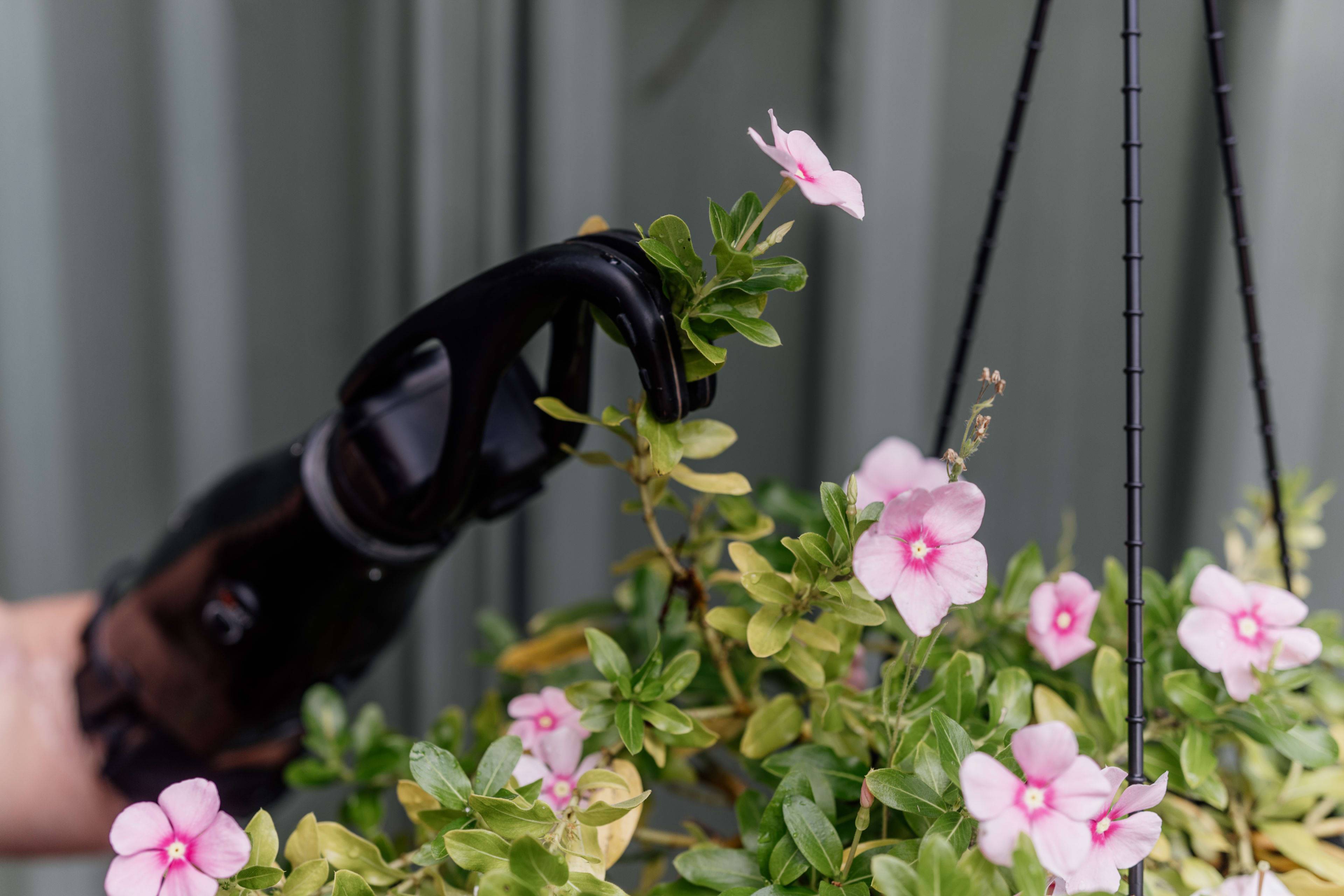 UL_Flowers_Lifestyle-Image_01